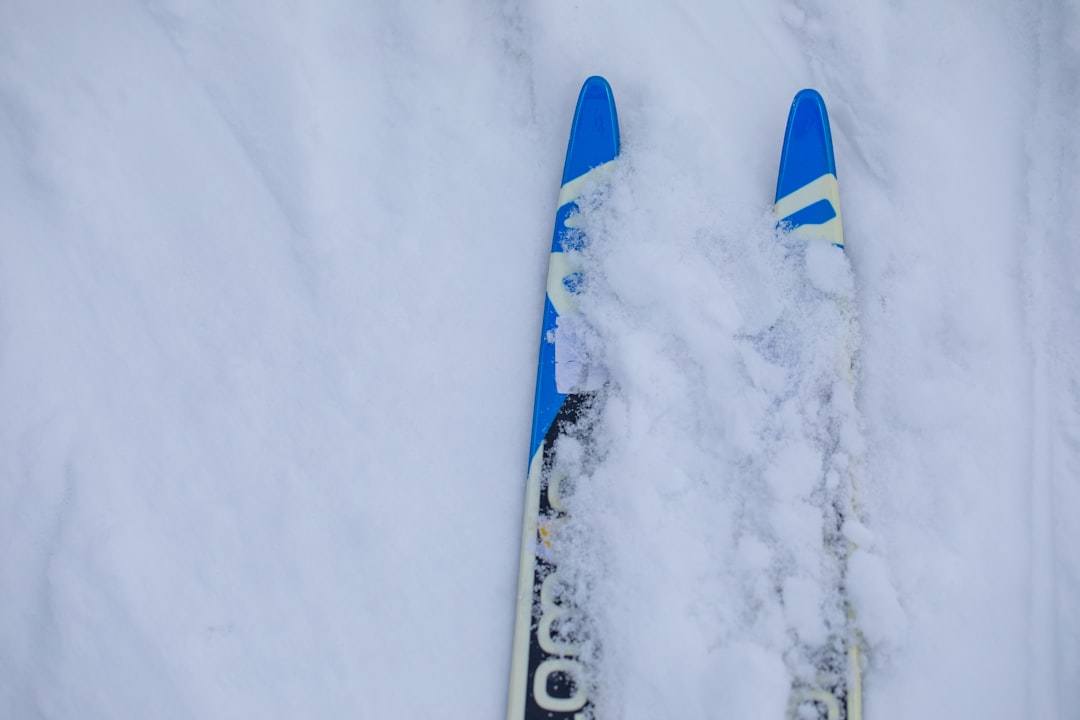 Chaseitems.com: Your One-Stop Shop for Adventurous Supplies